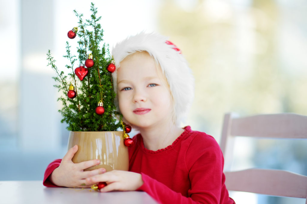 Enfant avec un sapin de Noël naturel en pot